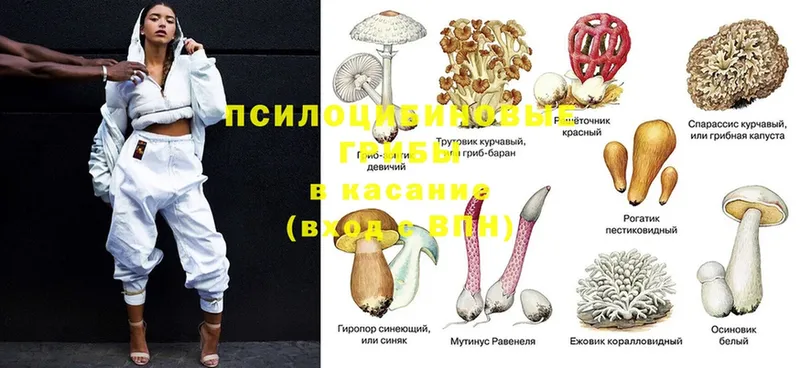 Псилоцибиновые грибы Magic Shrooms  цены наркотик  Нижняя Тура 